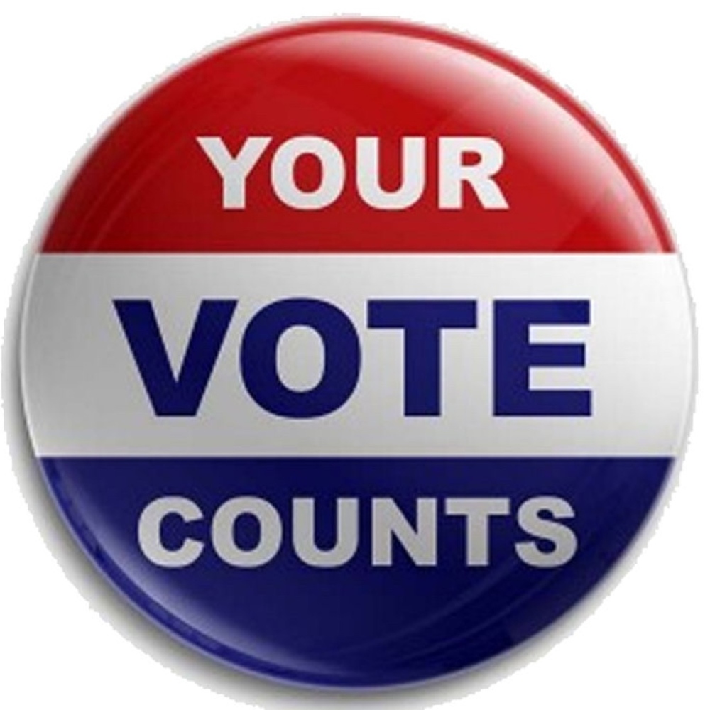 VOTE TODAY!!! - Picture 3 of 4